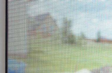 window-screen-600x600